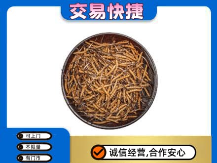 武威礼品回收虫草.jpg